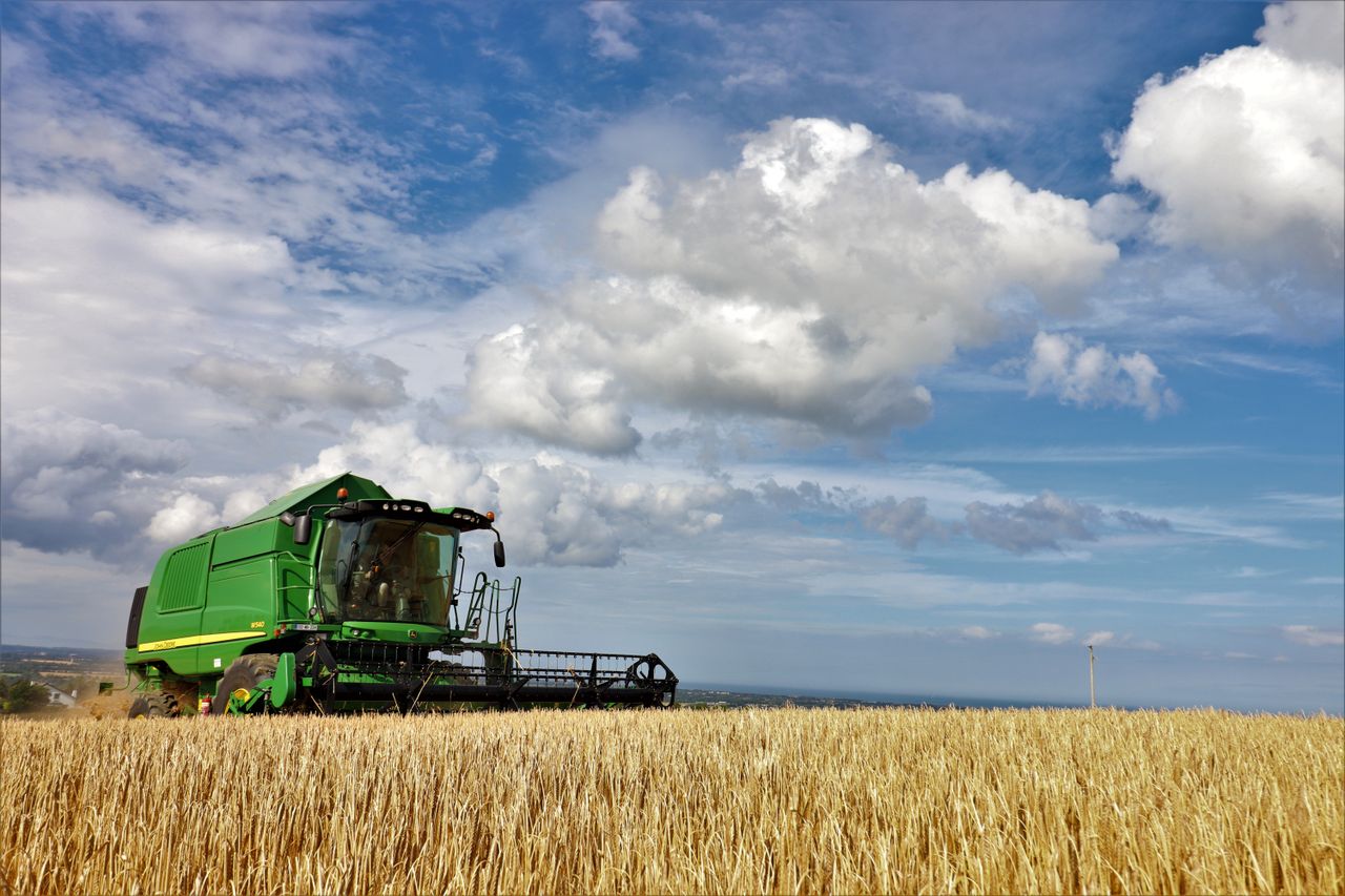 Harvest pics: Still plenty of work to be done