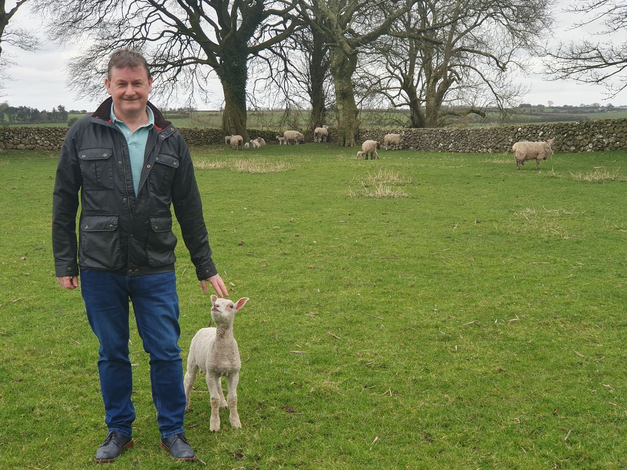 Galway organic farmer lauds the merits of sustainable wool