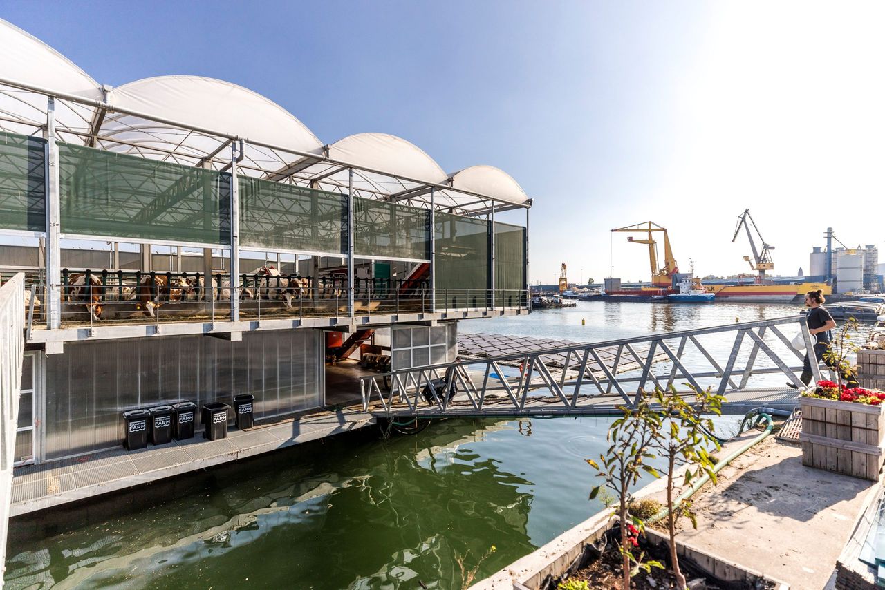 The world's first floating dairy farm was first opened in May 2019 but is now being closed due to emissions regulations and a lease deadline