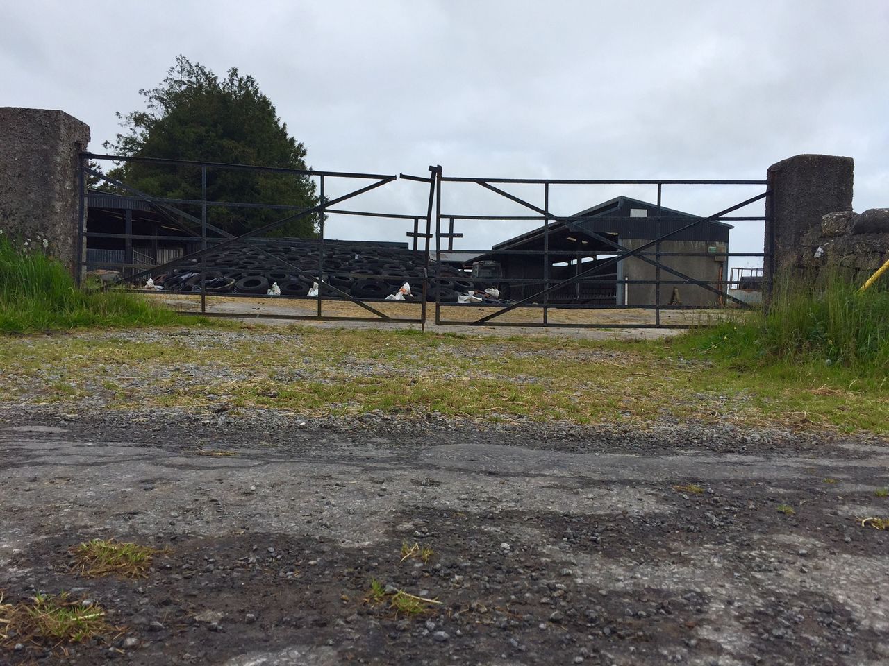 Second man released without charge over €100,000 livestock theft