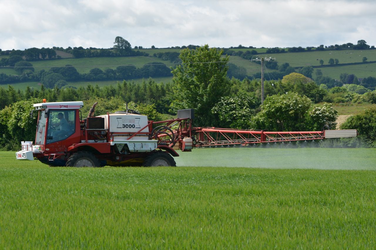 Rain will push spring barley to final fungicide timing