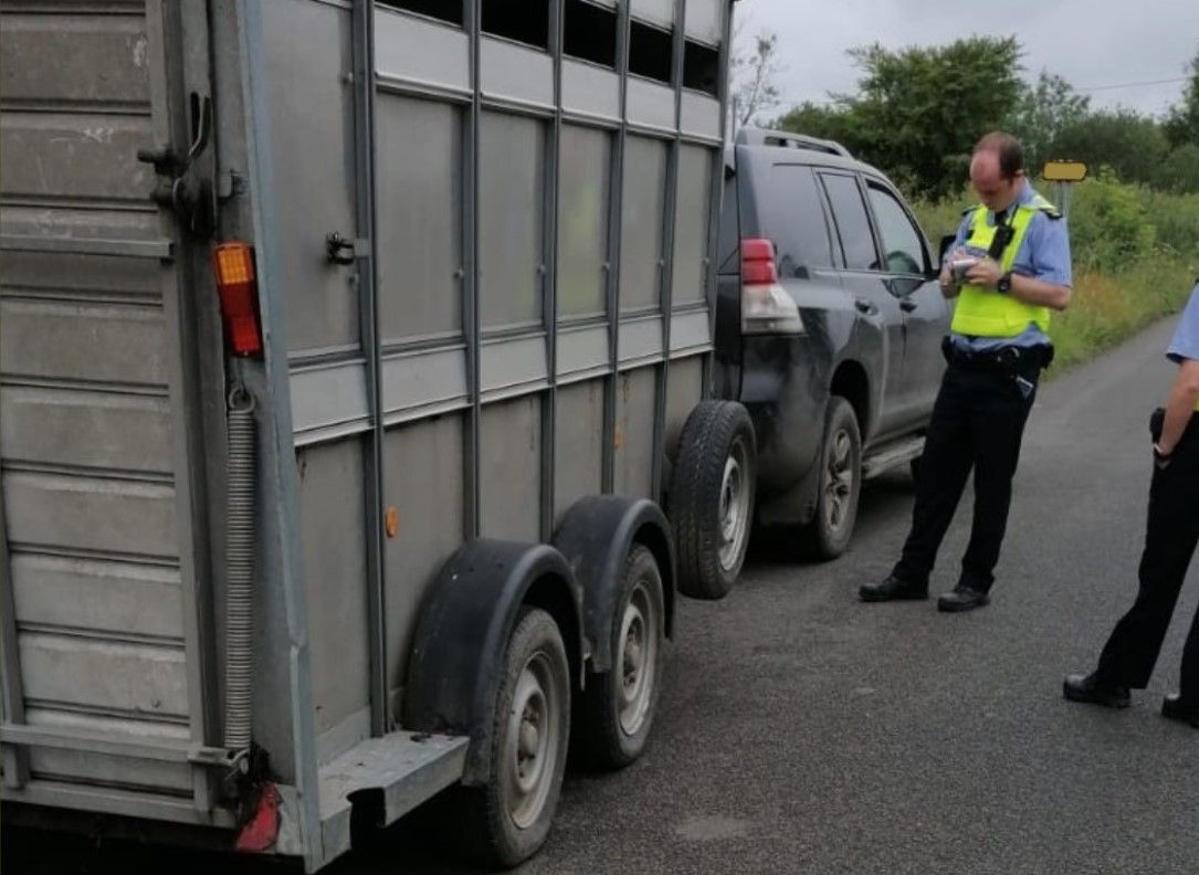 Driver towing livestock trailer arrested following Garda stop