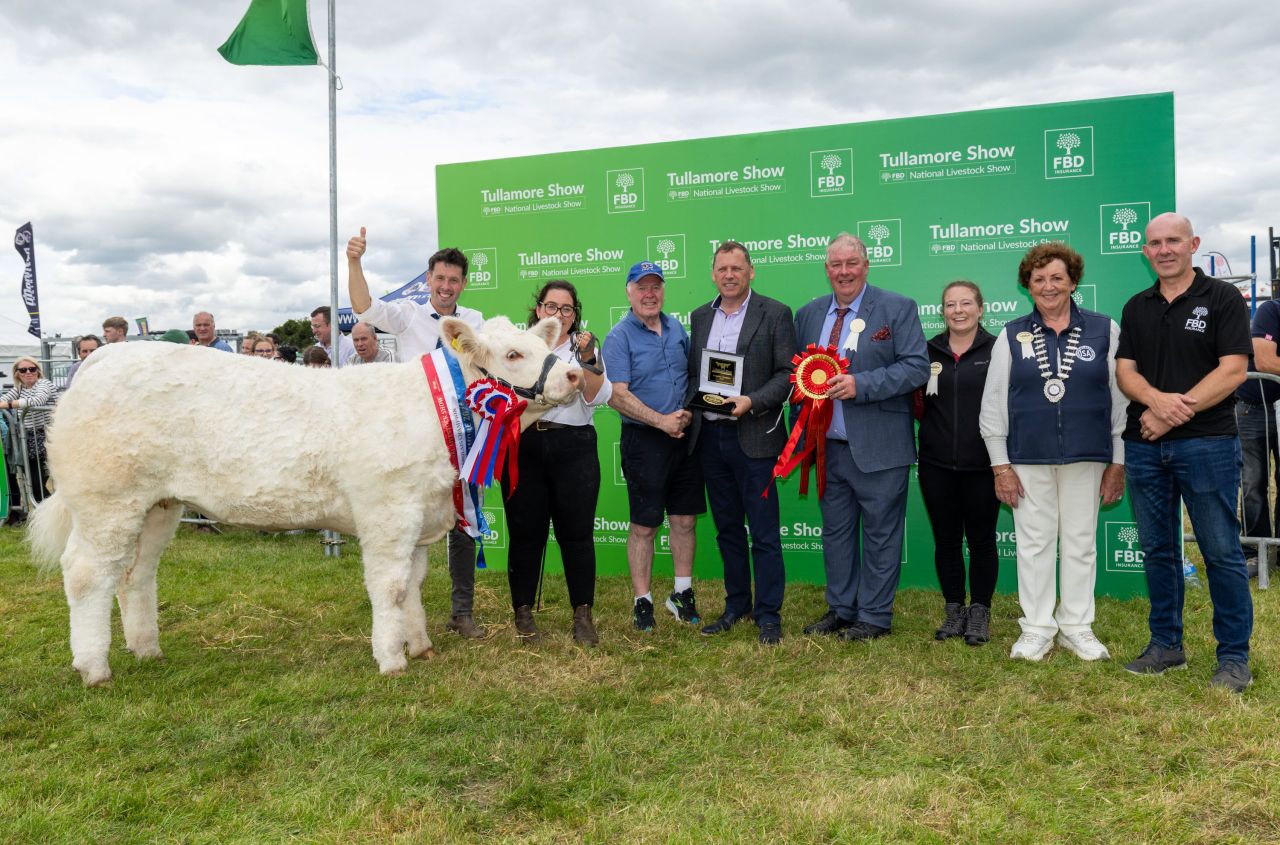 Gallery: 2025 Tullamore Show Parade of Champions