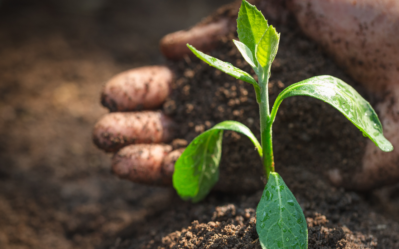 DAERA urges all farms to sign up for Soil Nutrient Health Scheme