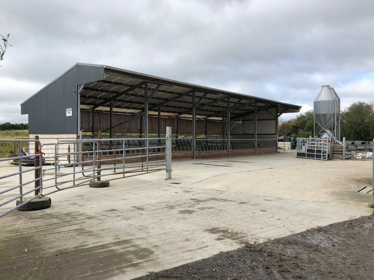 Buildings focus: Leaving no stone unturned in this beef-finishing unit in Co. Waterford