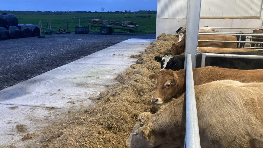 Factory quotes: Beef prices firm but no rise apparent this week