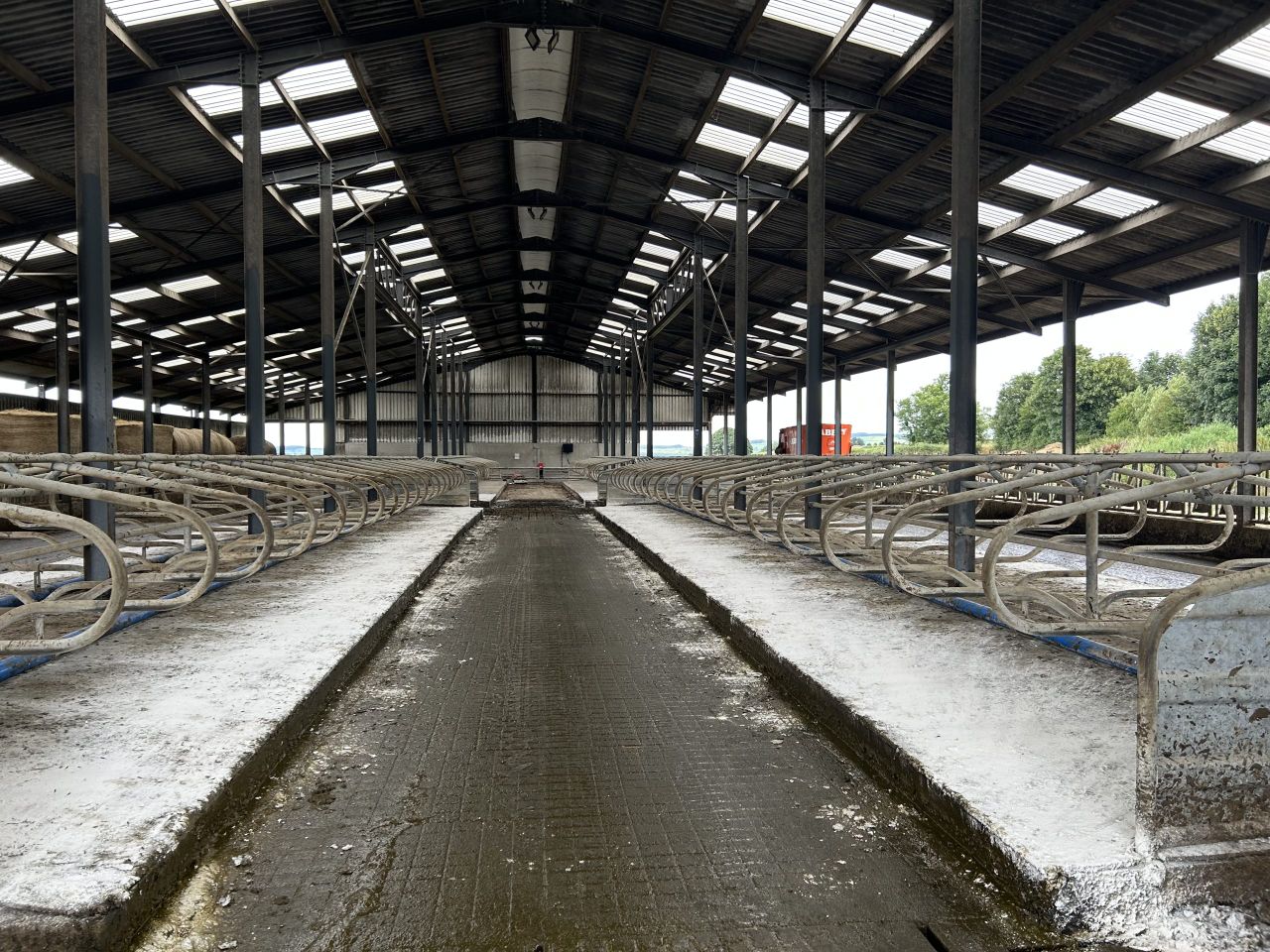What to consider when putting up a new cubicle shed this autumn