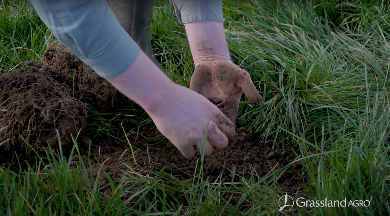 Teagasc Grass VESS Demonstration by Grassland Agro