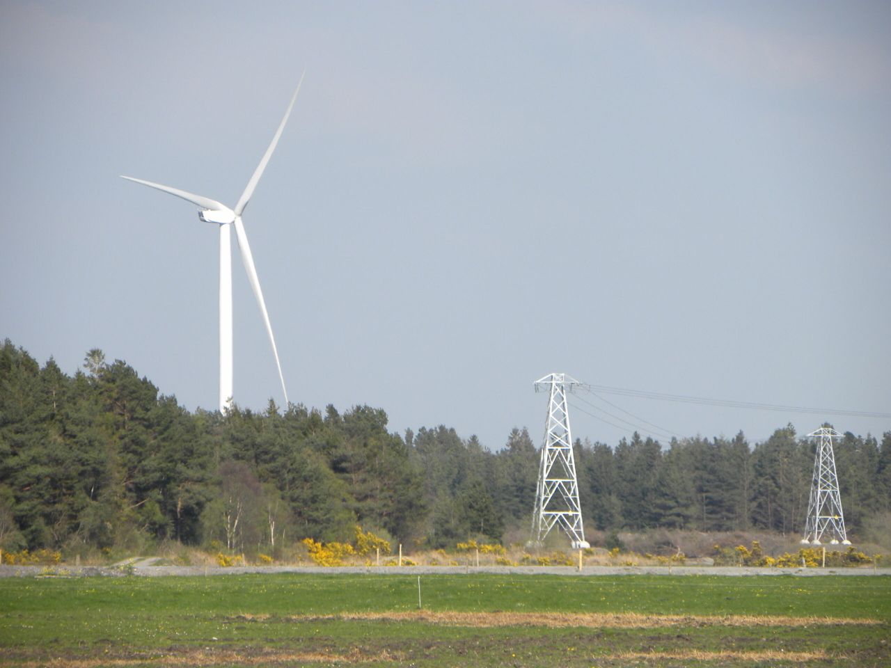 EU flexibility needed on state aid rules for energy - MEP