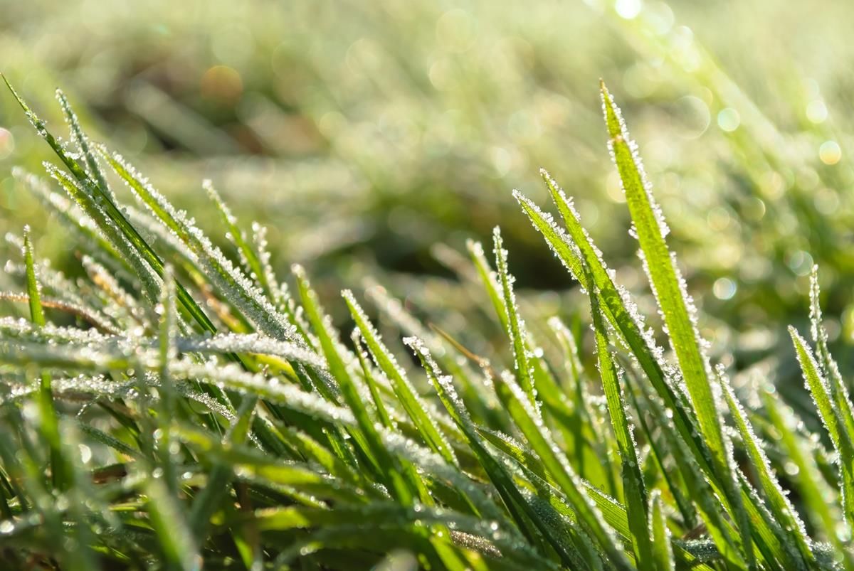 Frosty start to week to give way to spells of rain in coming days