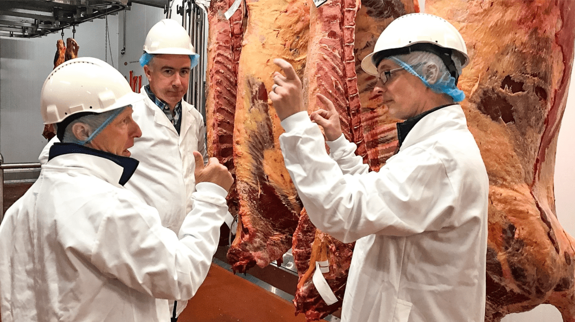 New factory bonus for Limousin cows and stockbulls announced
