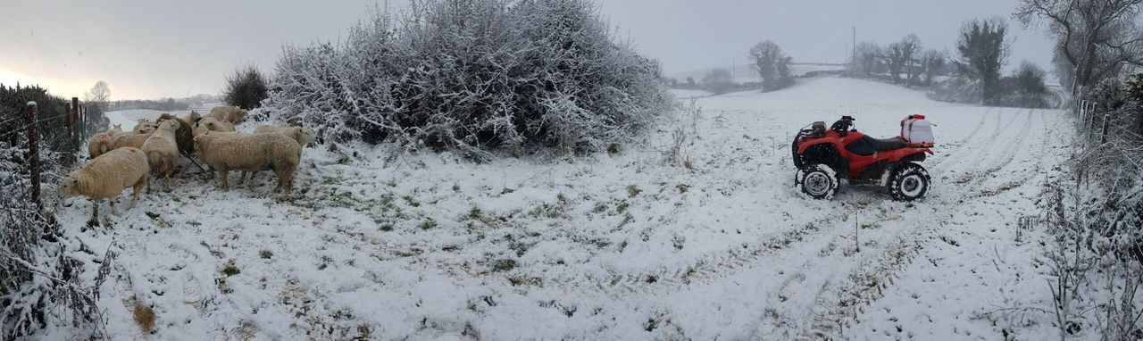 Status Yellow snow-ice warning issued for 18 counties