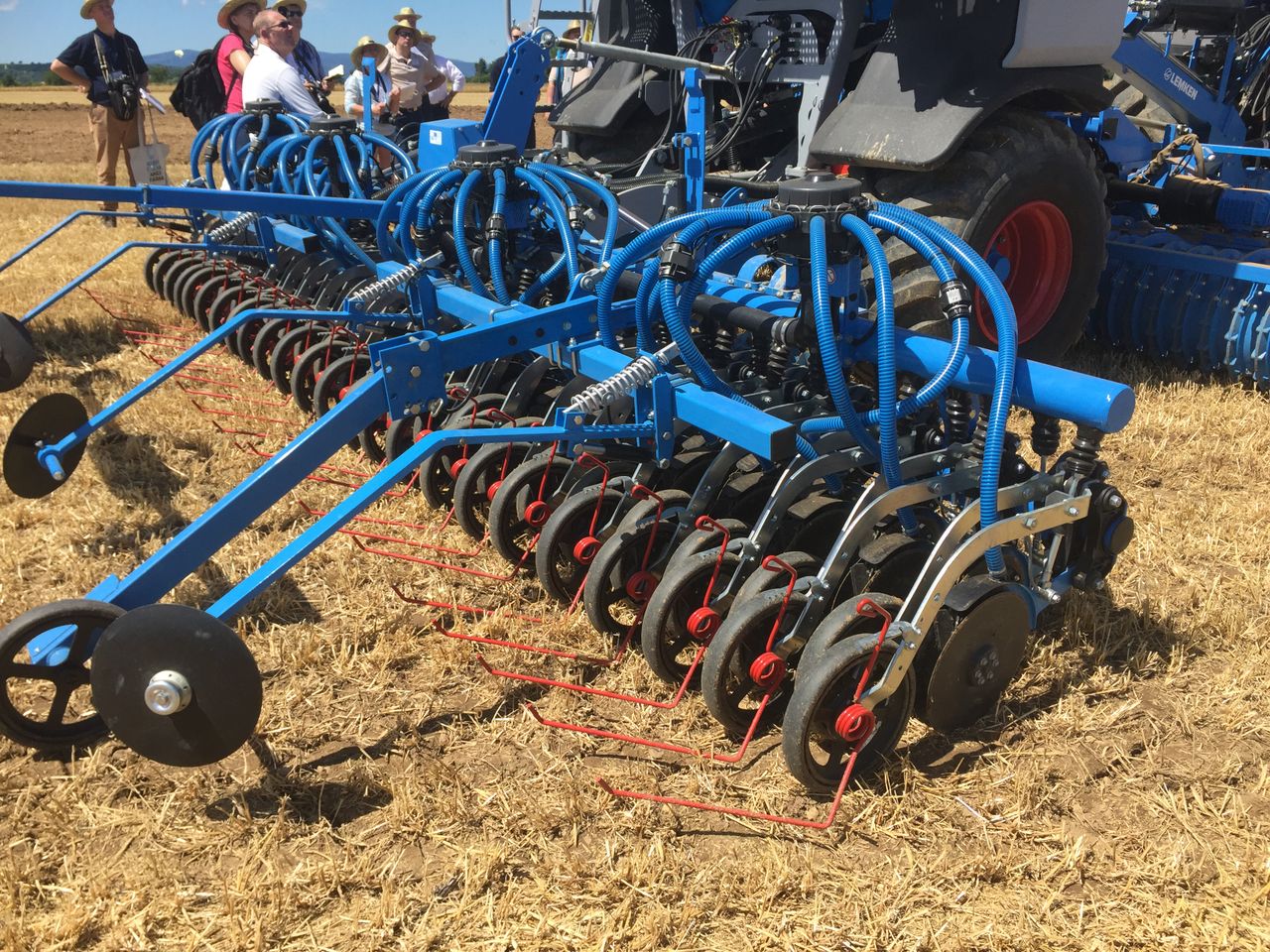 Plenty of spring seed available but price will be an issue