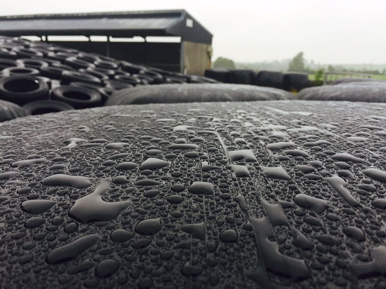Cool and dry with some scattered showers forecast this weekend