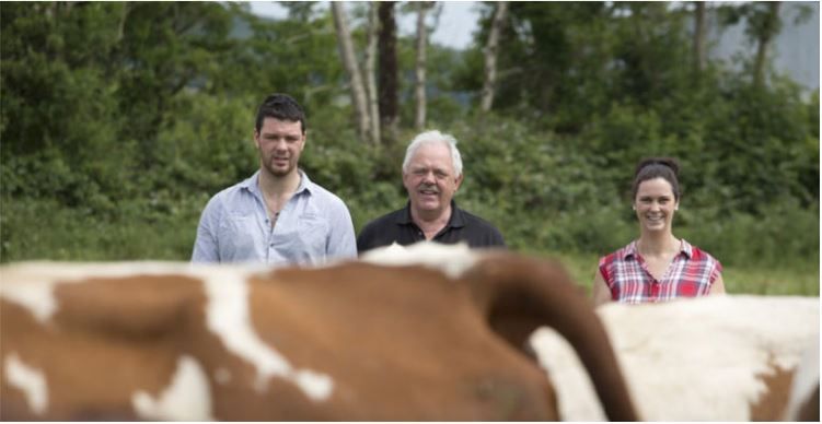 Dairy focus: French flair, growing numbers and making money from bull calves
