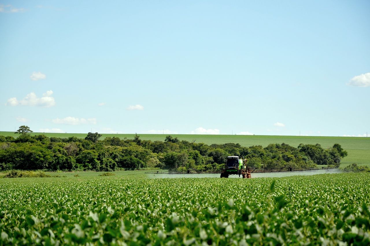 OECD: $851bn government support for agriculture during pandemic