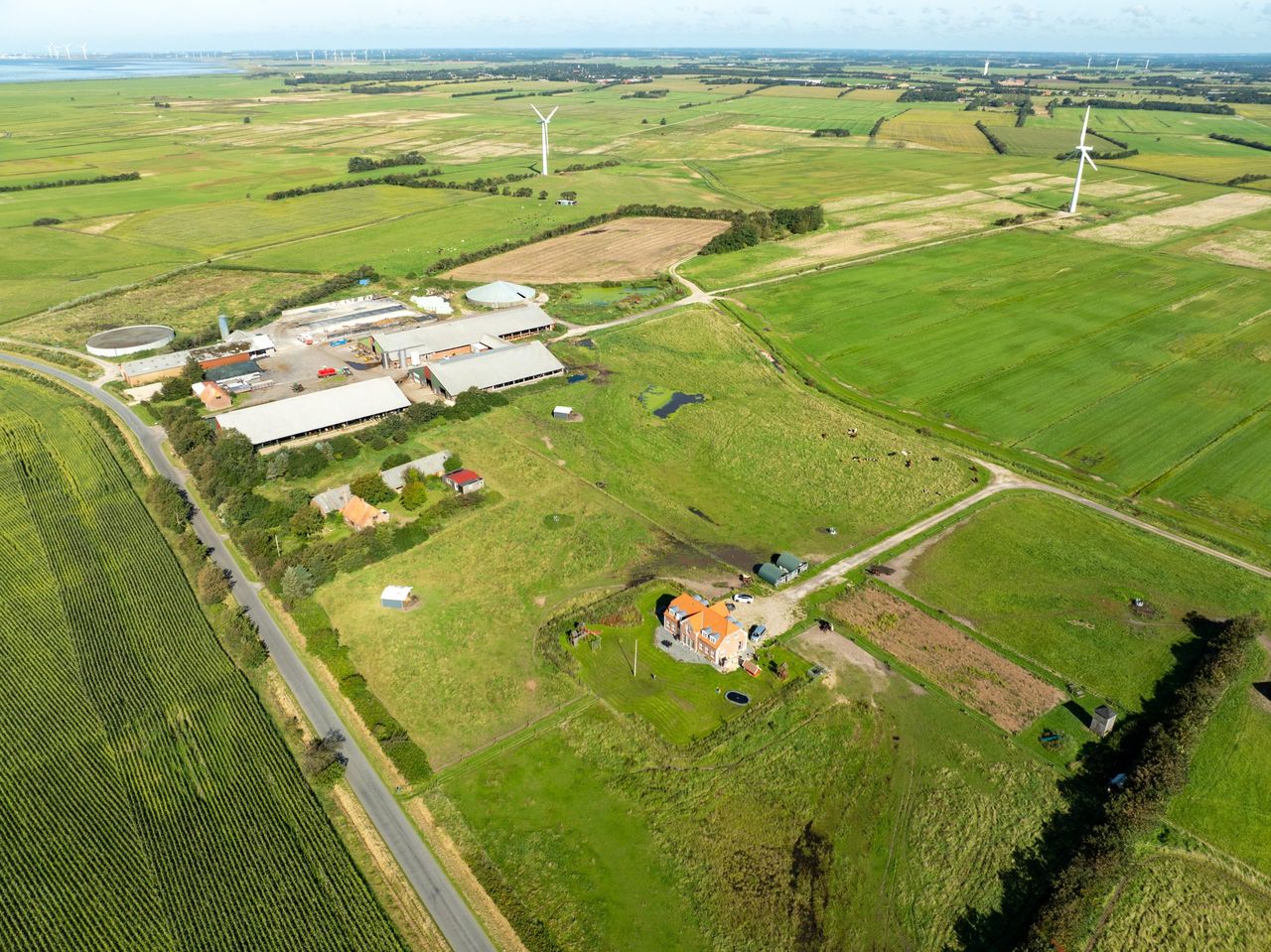 Securing the future of Danish dairy farm after bankruptcy