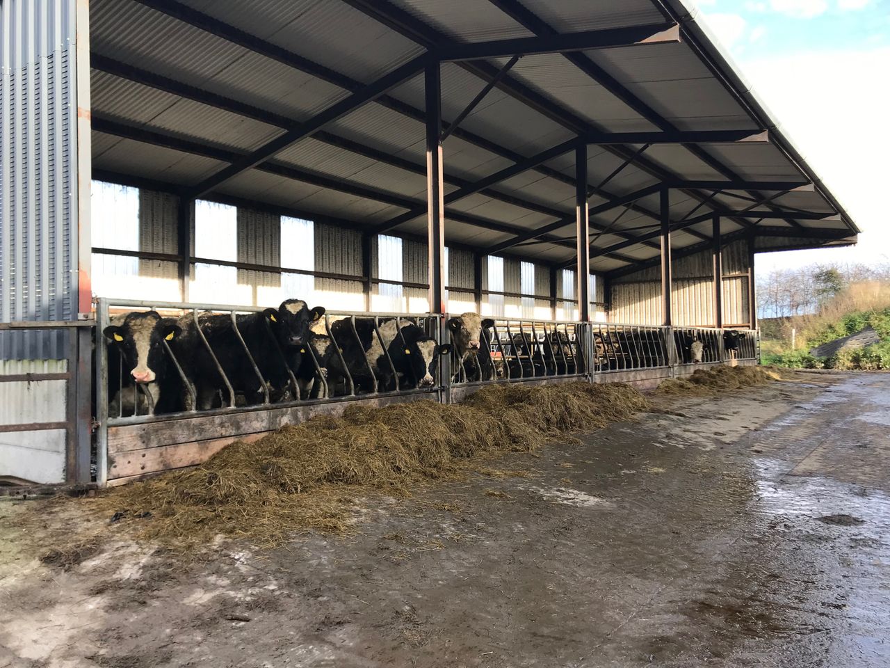 Sticking to the plan and implementing a finishing programme in Co. Meath