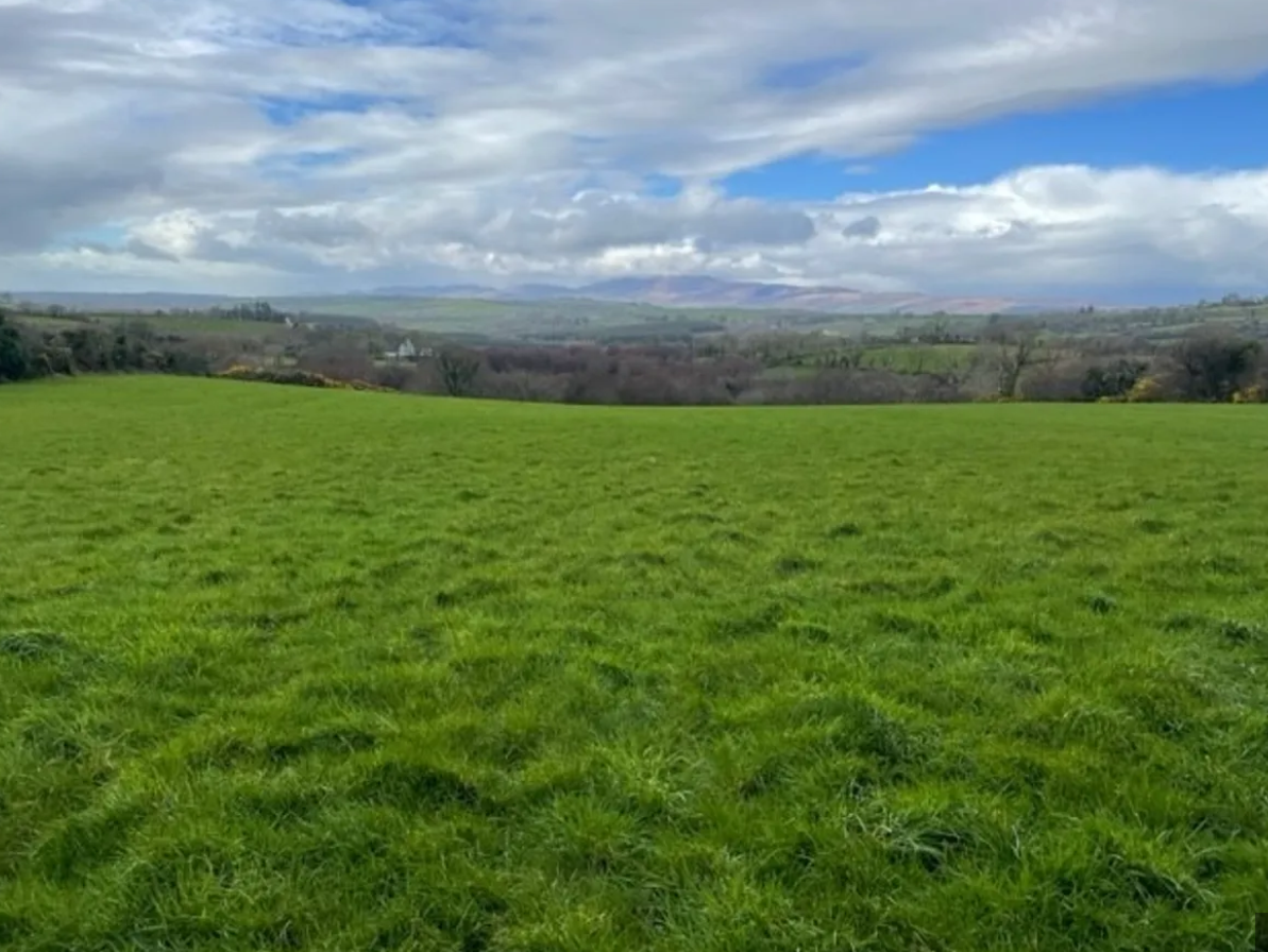 58ac farm near Kerry airport set for auction