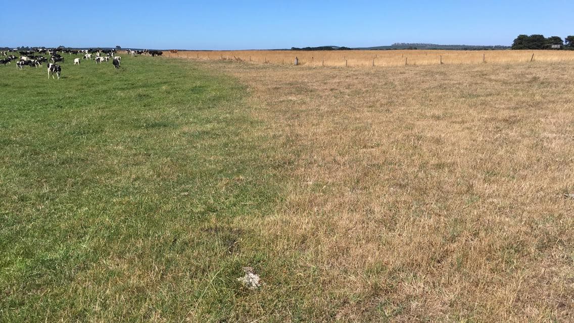 Australian farmers fear 'dud' trade deal with EU
