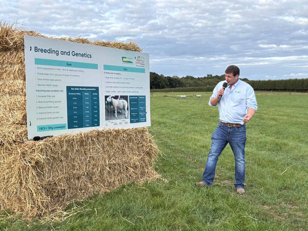 Teagasc's Ciaran Lynch