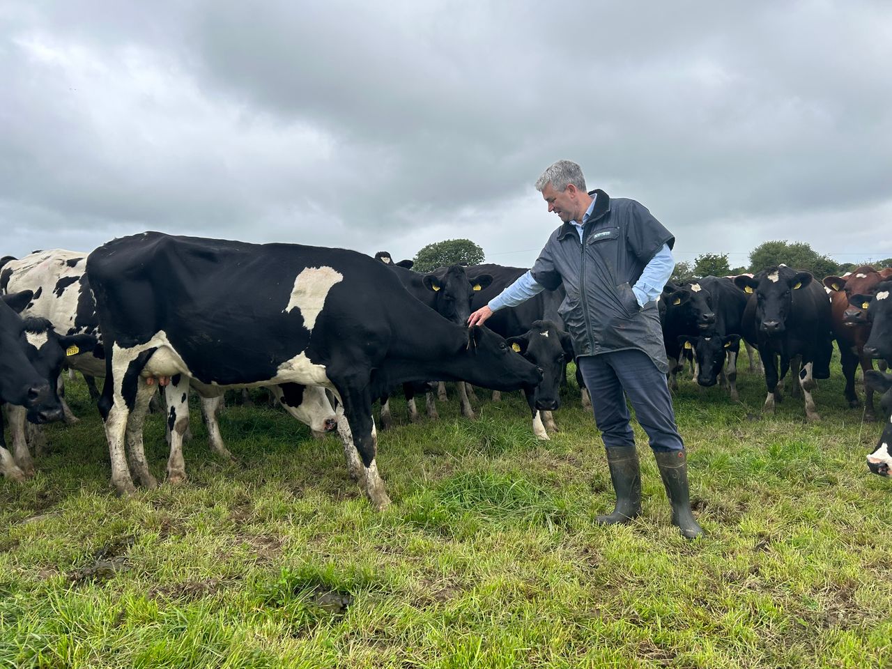 Increasing TB levels 'causing terrible stress' - Lombard