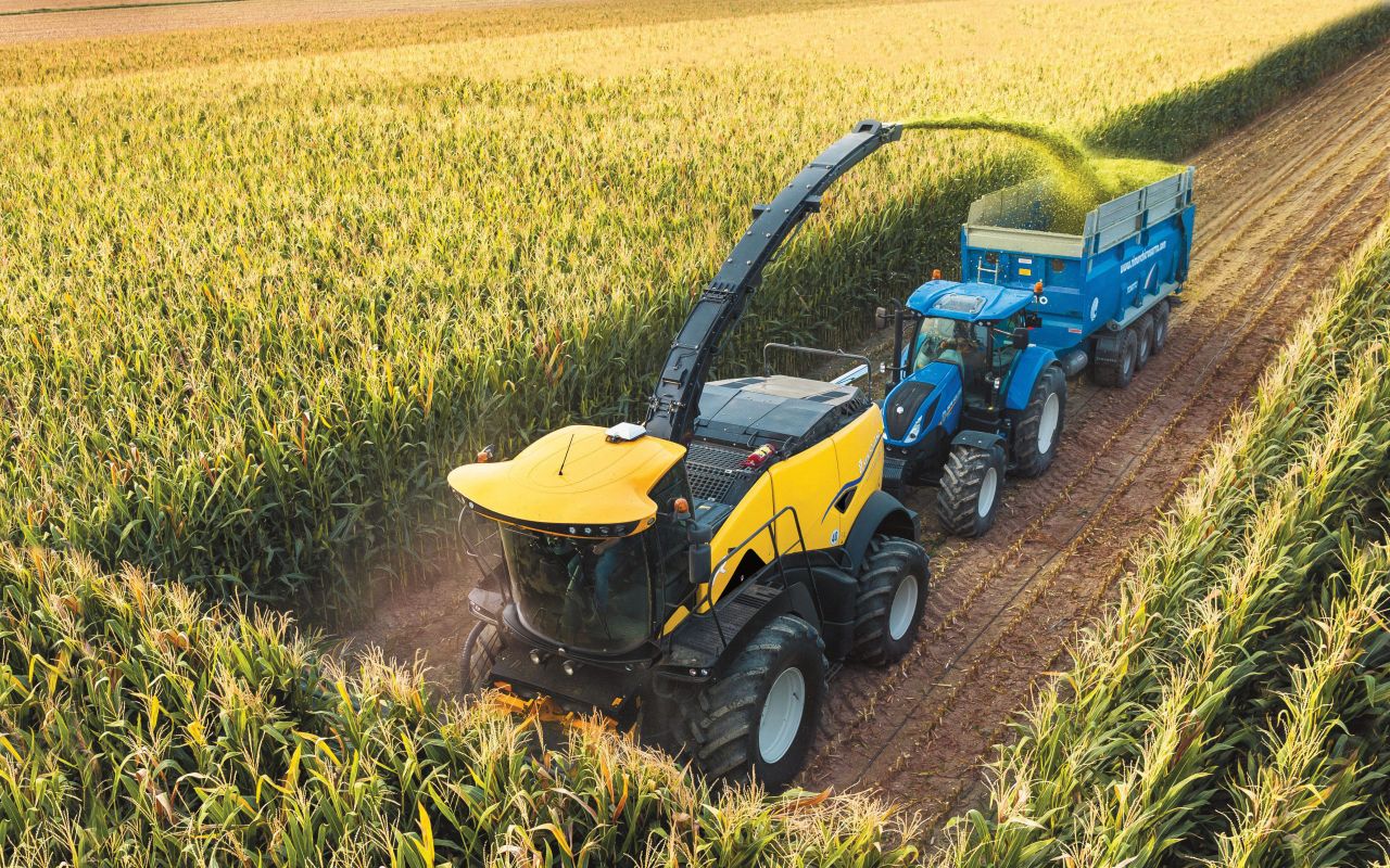 'Exceptionally high' starch levels claimed in 2025 forage maize crops