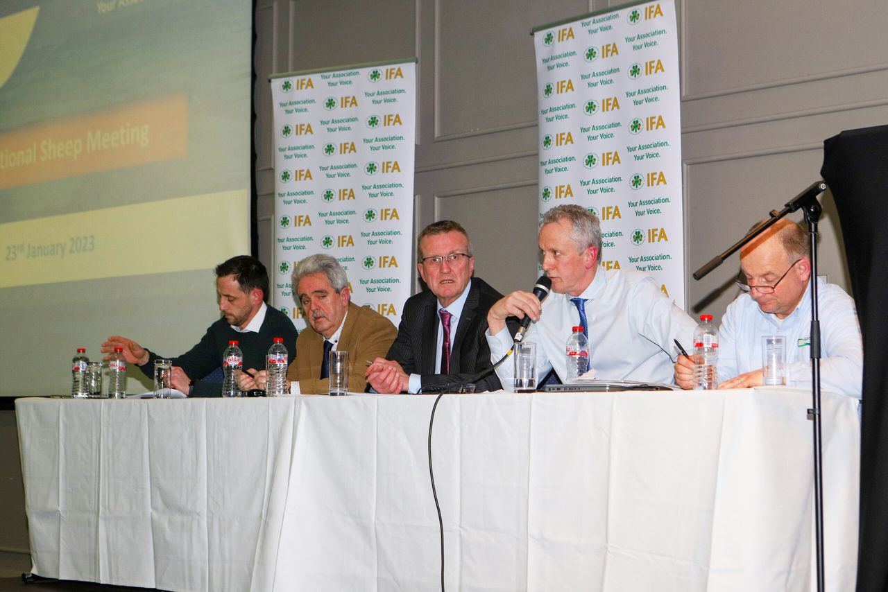 Quality assurance bonuses a talking point at IFA sheep meeting