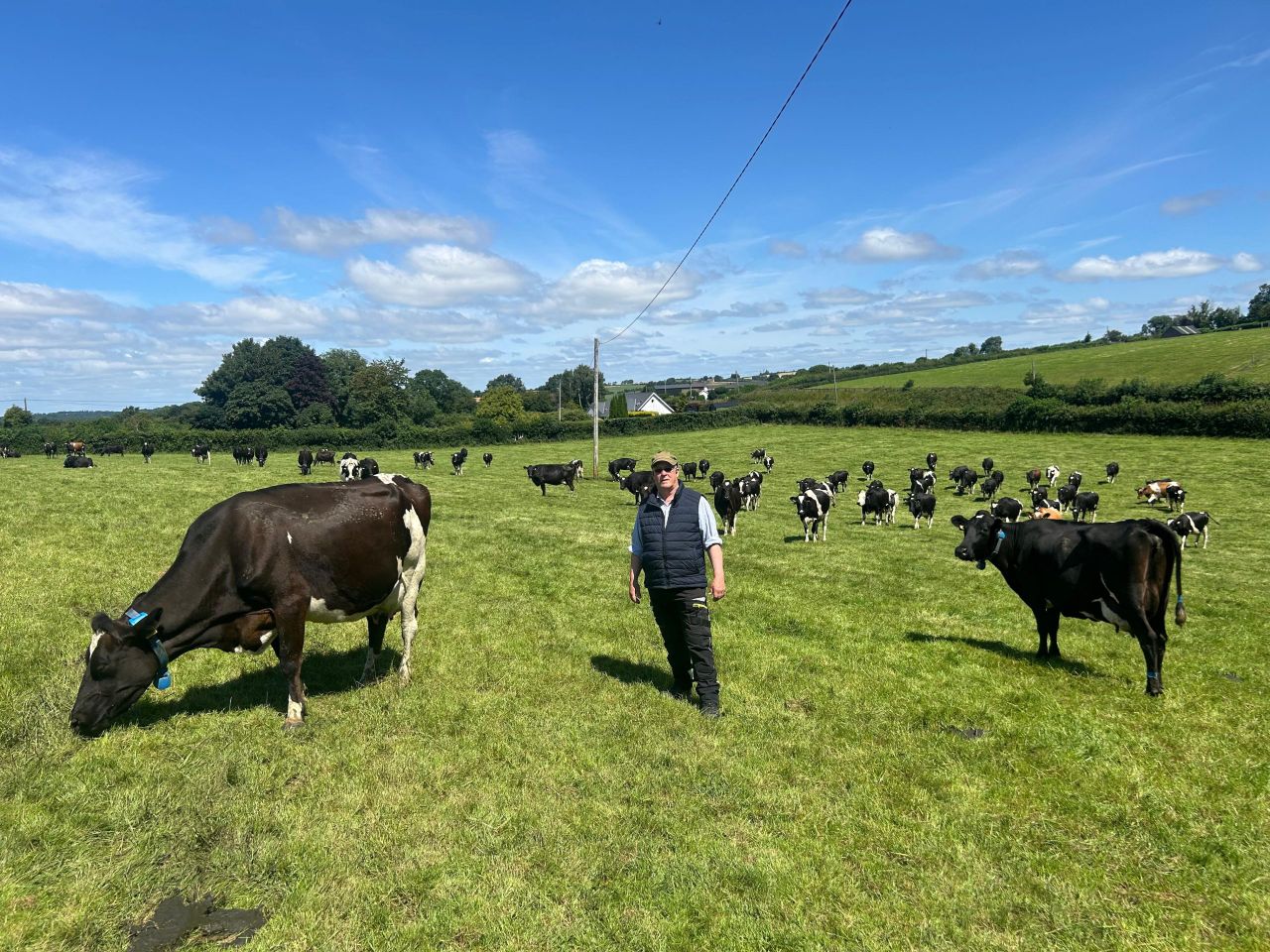 Listen: Kildare farmer tweaks grazing platform to achieve 500kg MS/cow
