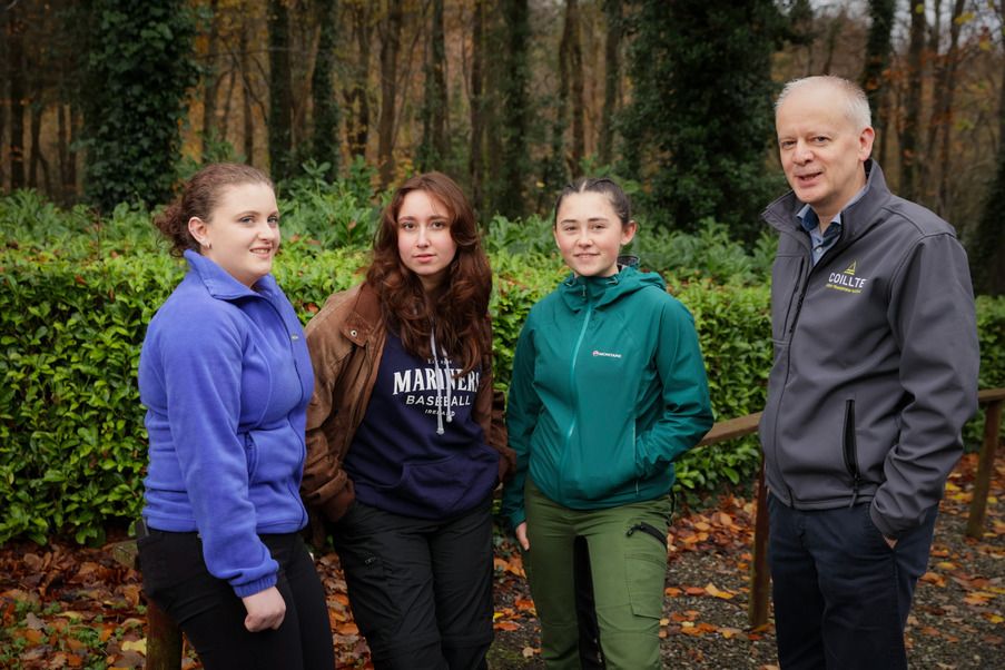 Deadline nears for Coillte 2025 forestry scholarship