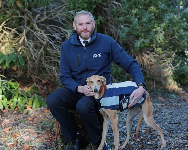 ISPCA urges public to help animals in need this Christmas
