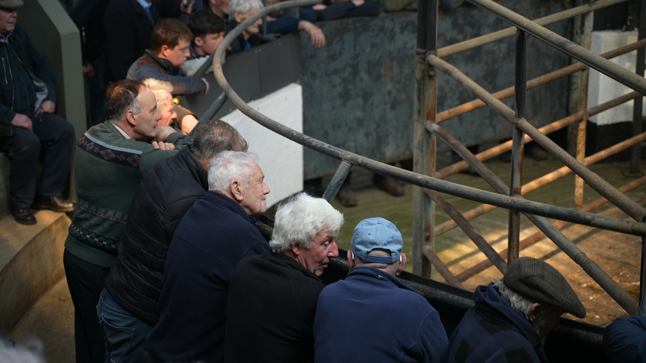 Watch: Catch up at the mart - what do farmers think about Leo's remarks?