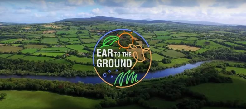 Reducing antibiotic usage on farm by over €2,000 features on Ear to the Ground
