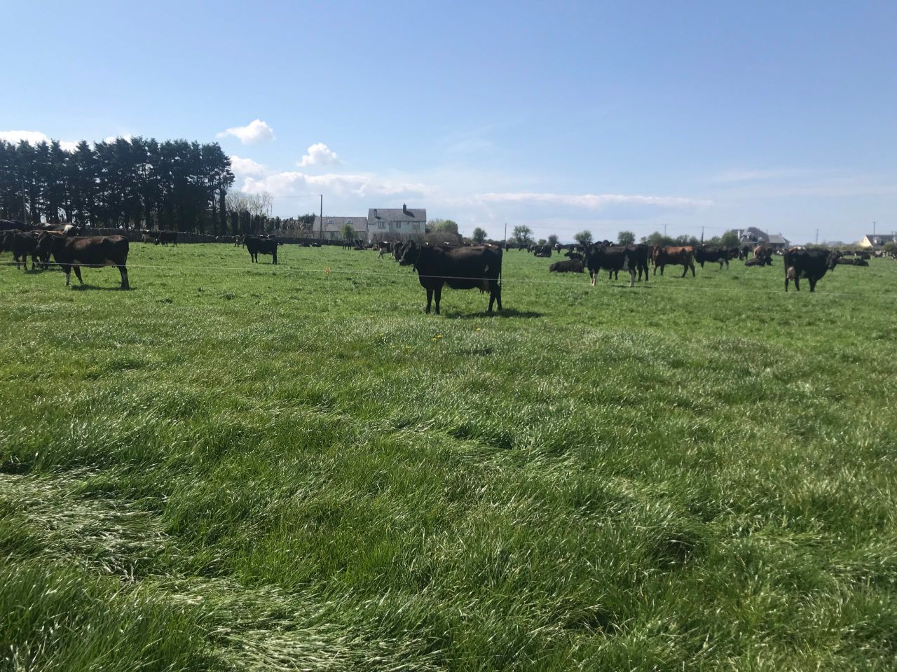 Attracting and retaining people on dairy farms