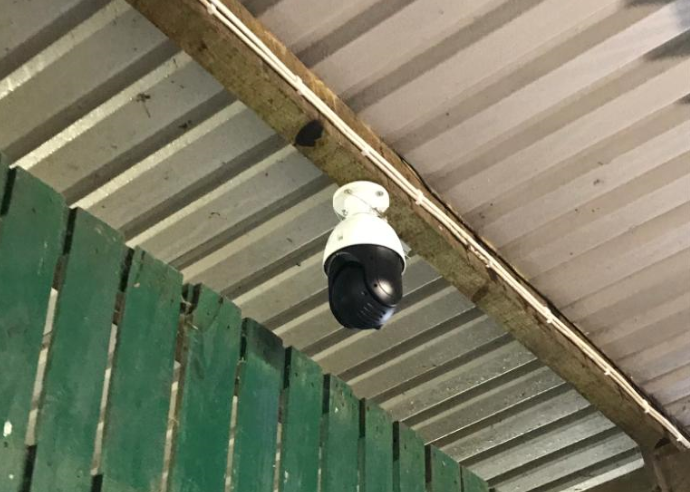 Trying to reduce the workload during springtime? Why not install a camera...