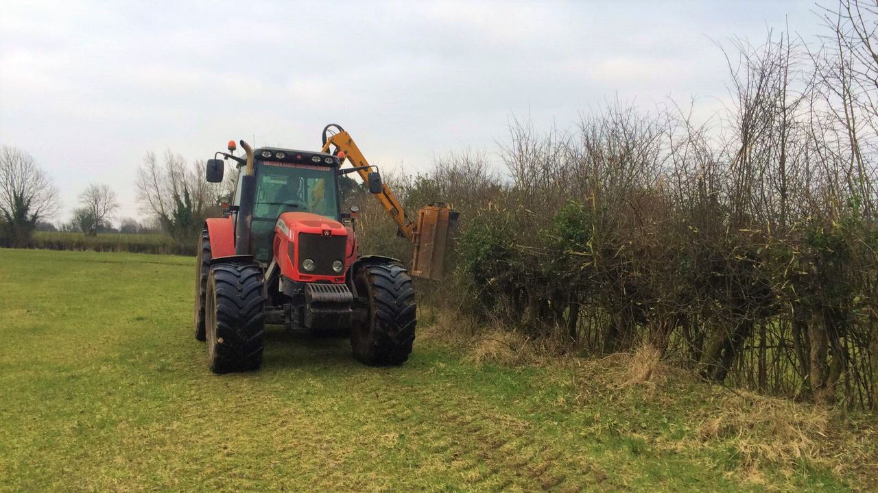 Just days left before hedge-cutting ban comes into effect