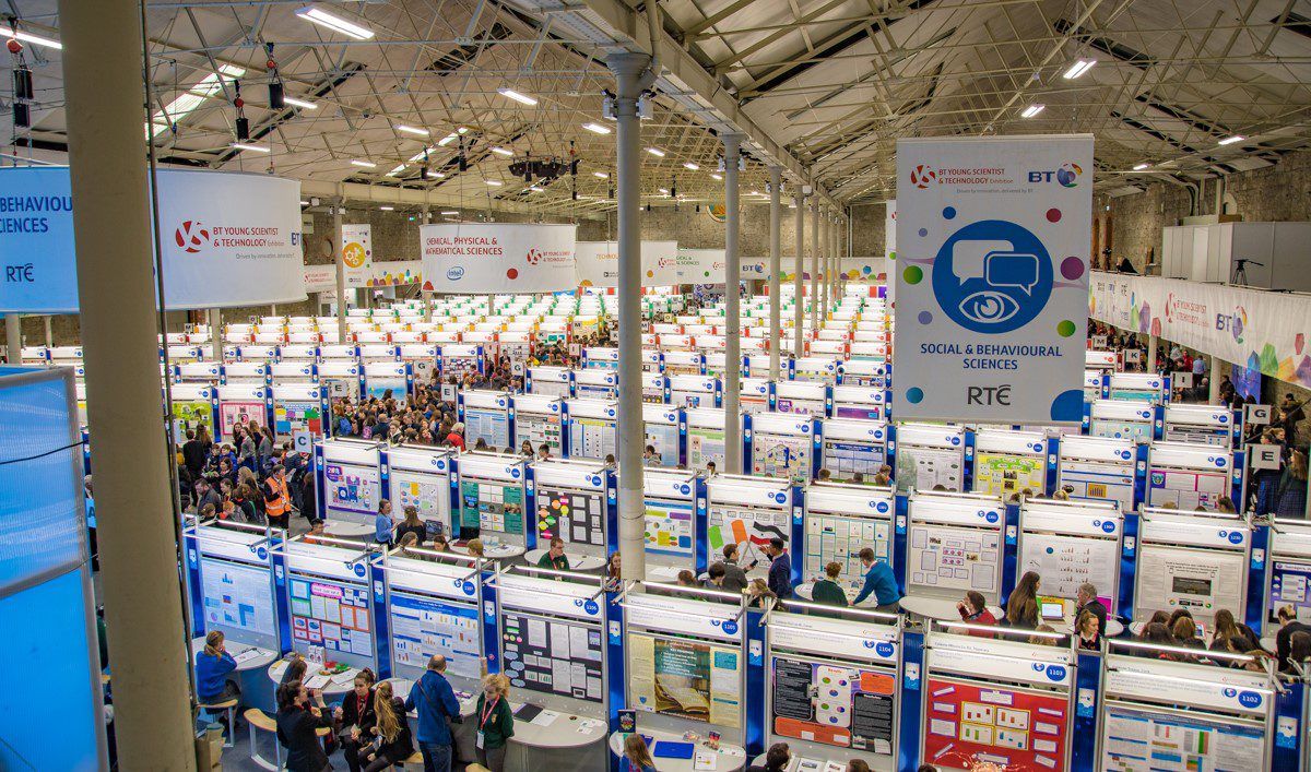 Video: Young scientists 'create buzz' with agri-inspired projects