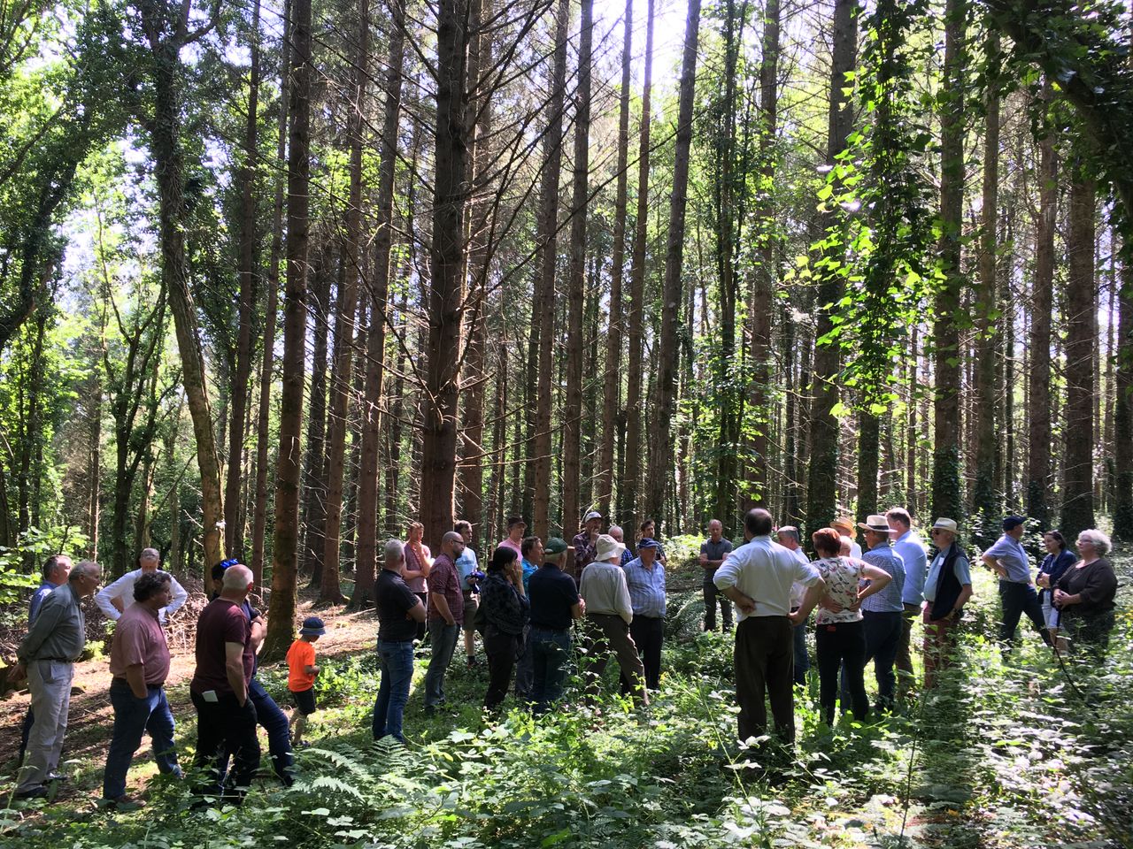 Forest owner groups join forces to form national body