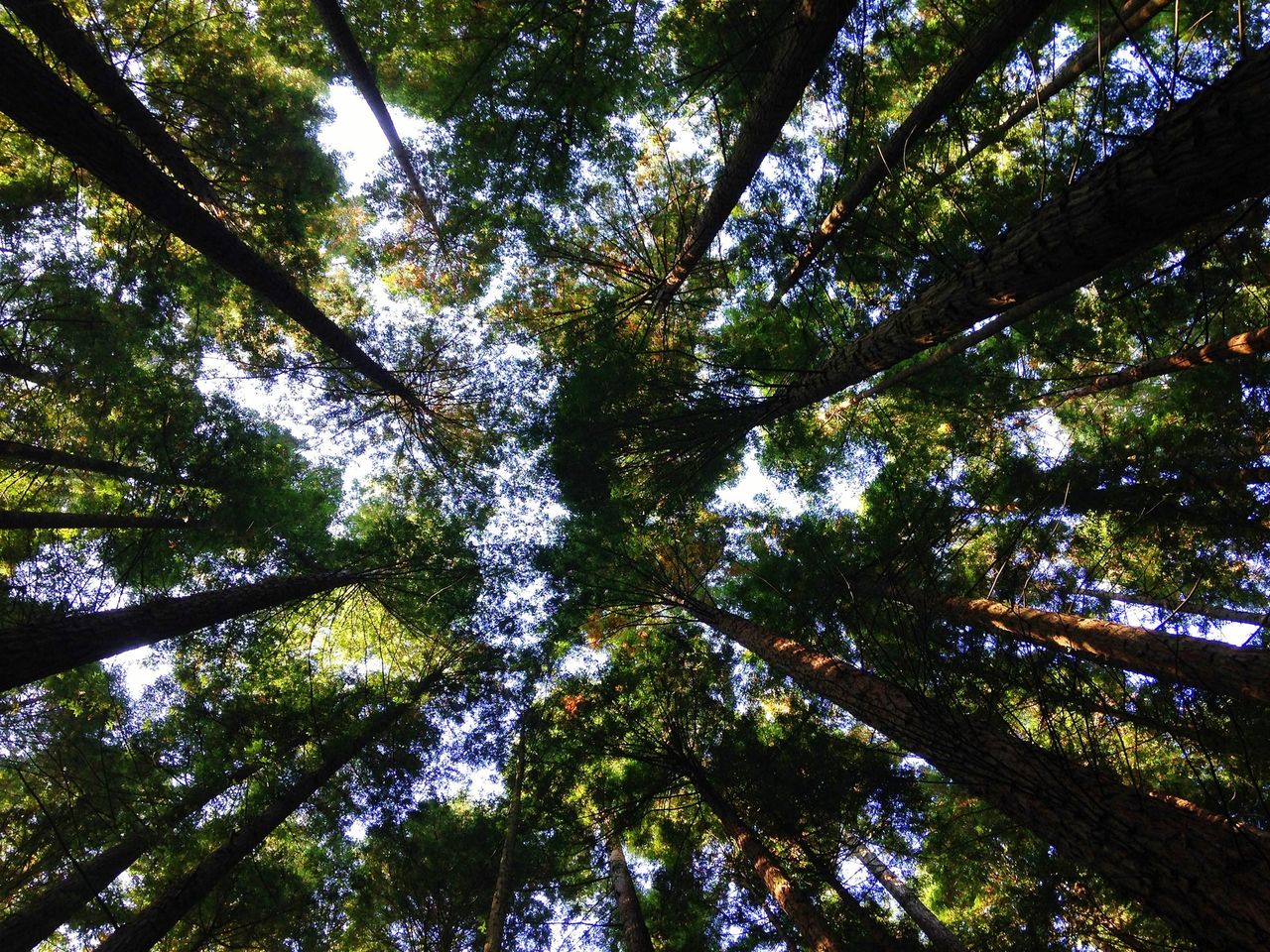 An Taisce questions environmental assessments of Agri-Food Strategy