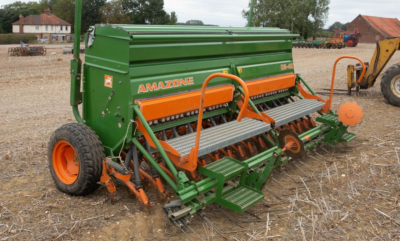 Auction report: Rooting for a bargain at this on-site sale