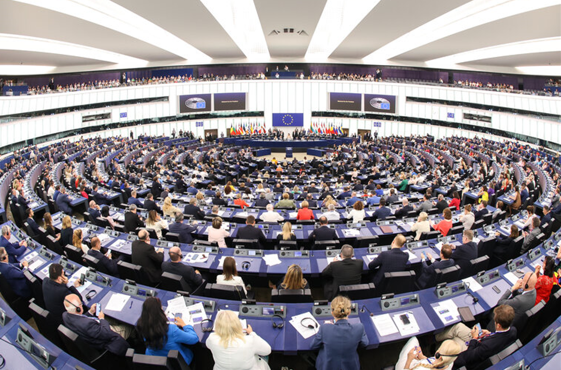 How did Irish MEPs vote on motion to refer Mercosur deal to court?