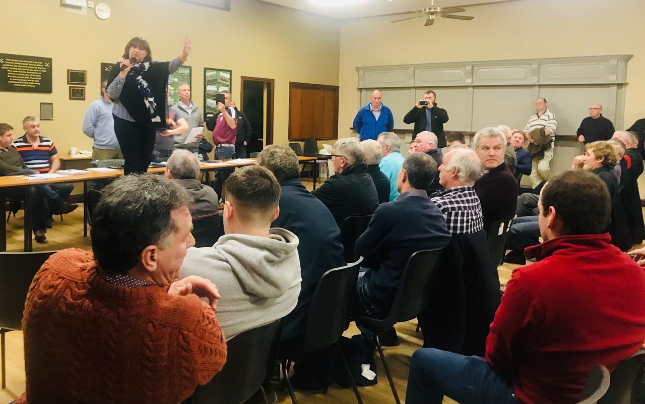 'We're the laughing stock of the country' - chaos as Galway Beef Plan election abandoned