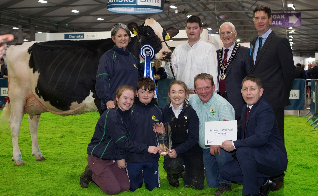 Limerick breeder clinches 2019 RUAS Winter Fair championship