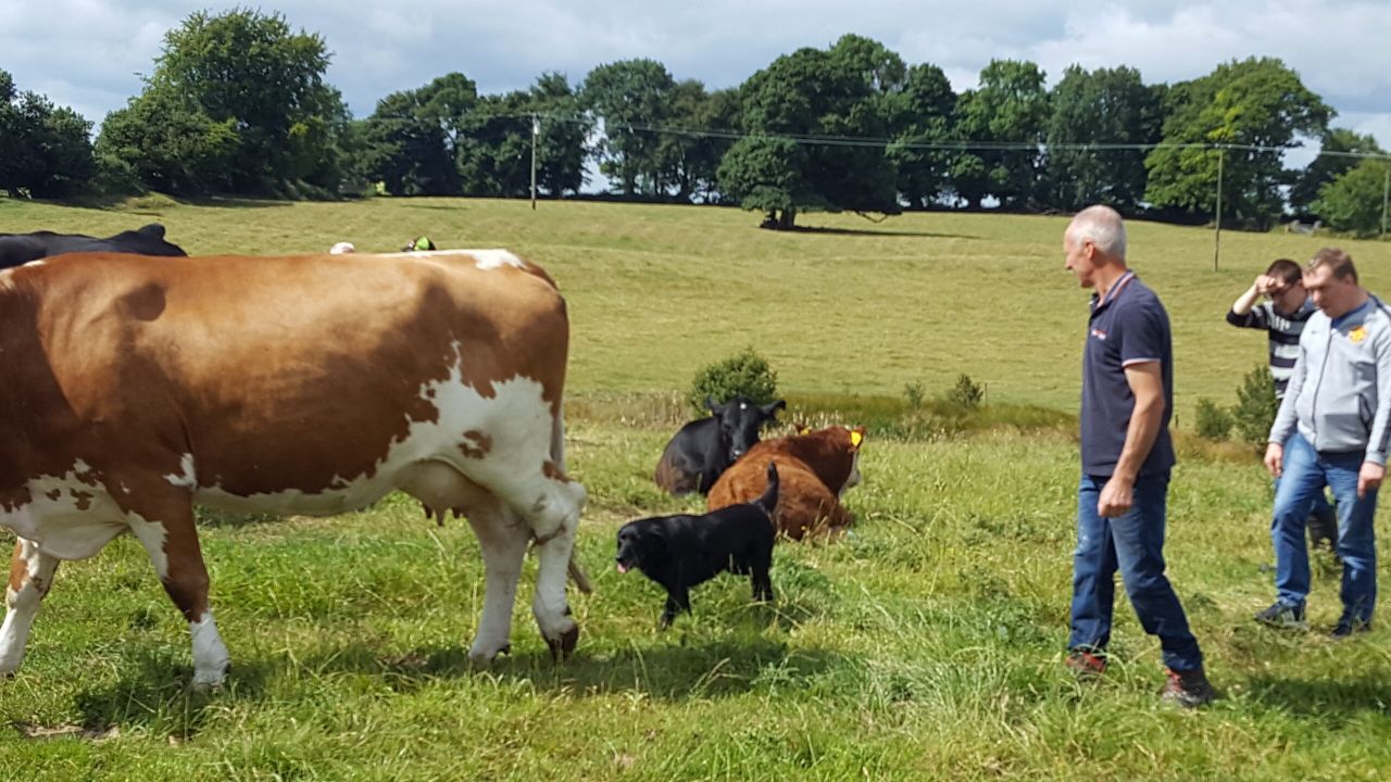 Social Farming benefits to be highlighted at open day
