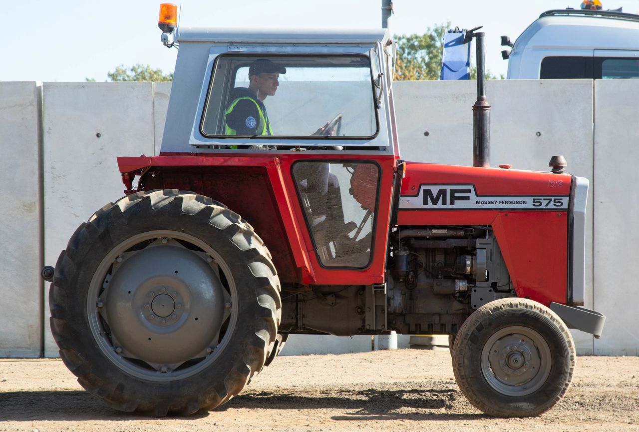Auction report: 'If she is not red...'