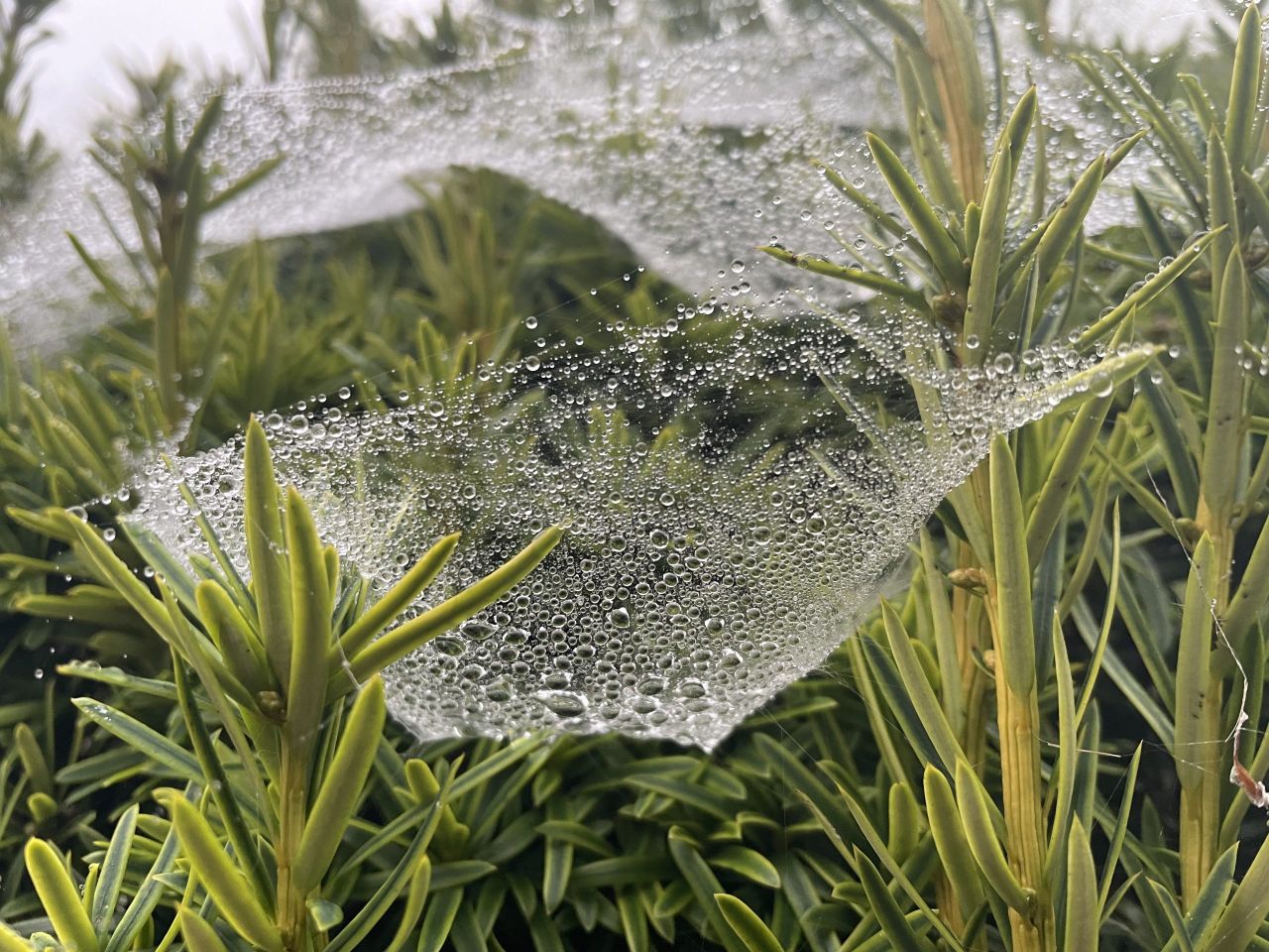 Met Éireann: Mixed weather this weekend ahead of cold snap