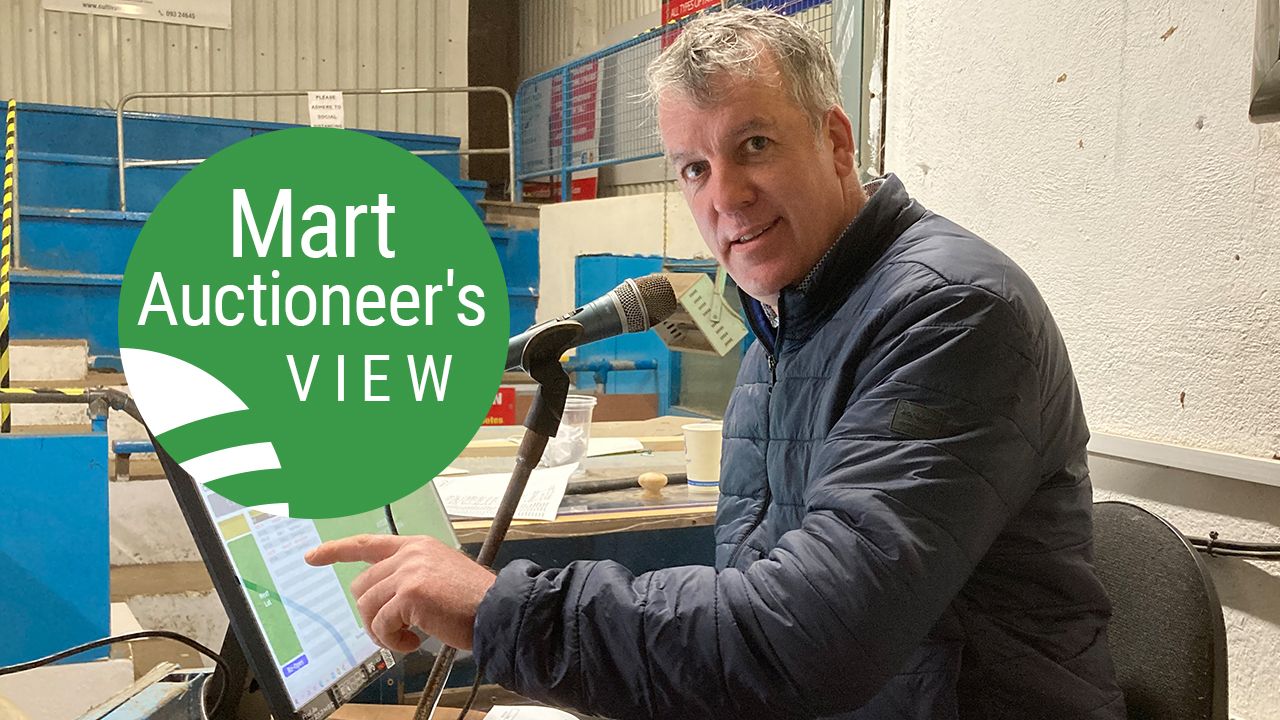 'Exceptionally good trade for heavy ewes' at Tuam Mart on Tuesday