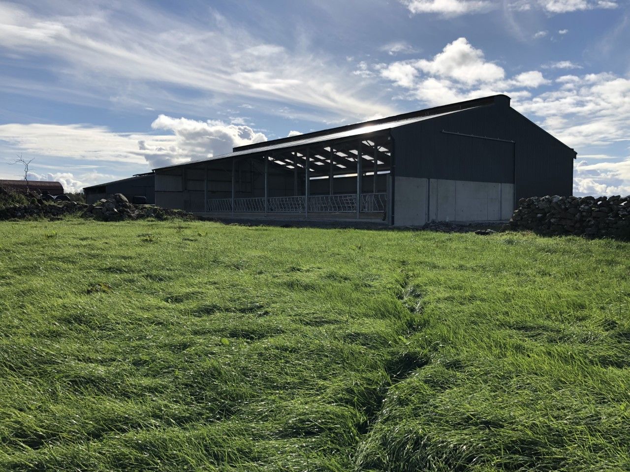 Buildings Focus: 6-bay slatted unit with a lieback area and crush in Co. Mayo