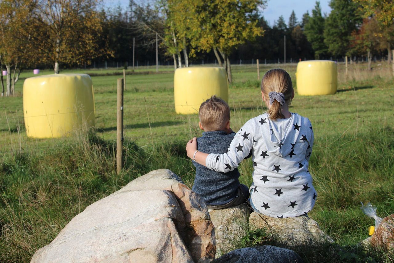 Farmers asked to ‘turn the fields yellow’ this year