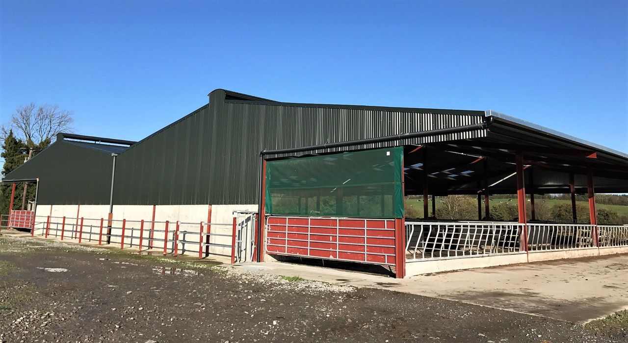 Buildings focus: Facilitating more cows with a 147-cubicle monster
